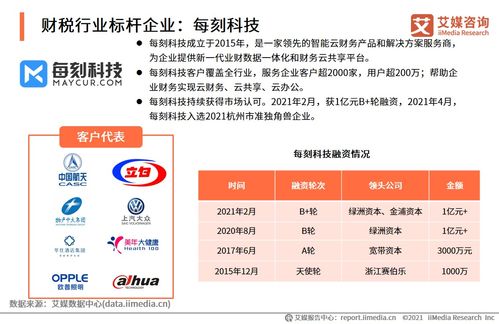 2021上半年中國財(cái)稅類企業(yè)服務(wù)專題研究報(bào)告 社會(huì)經(jīng)濟(jì)咨詢服務(wù)的發(fā)展趨勢(shì)與挑戰(zhàn)