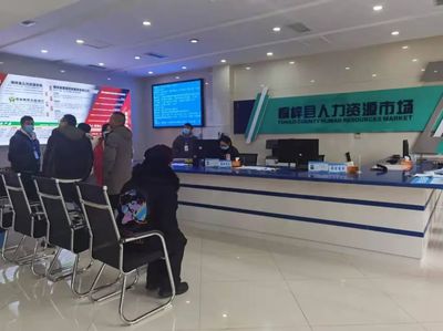 桐梓縣 以專(zhuān)業(yè)咨詢(xún)服務(wù)為引擎，筑牢“穩(wěn)就業(yè)”“保就業(yè)”基石，驅(qū)動(dòng)經(jīng)濟(jì)社會(huì)高質(zhì)量發(fā)展